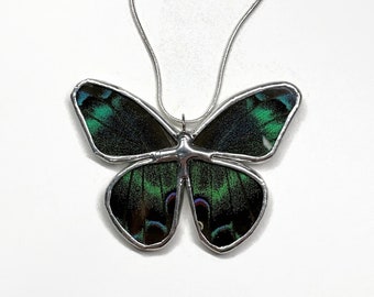 Teal Butterfly necklace real butterfly wing jewelry, unique best friend gifts, recycled glass pendant, chain included