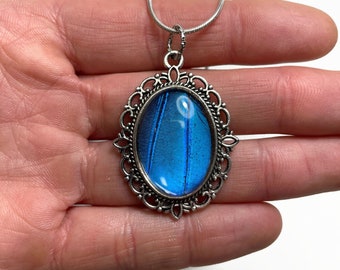 Blue iridescent butterfly wing pendant, unique gift for her, real didius morpho butterfly, glass filigree necklace