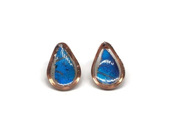 Handmade Blue Butterfly Wing Stud Earrings, Nature Inspired Jewelry, Real Butterfly Gifts for her, Morpho Didius