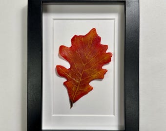 Oak Leaf Fused Glass, Nature Wall Art, Fall Picture, Unique Gifts for Her, Tree Home Decor, Realistic Three Dimensional Sculpture