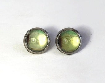 Green luna moth stud earrings real moth wing jewelry, unique gifts for her, recycled glass earrings, hypoallergenic, 10mm