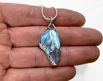 Iridescent blue pendant real butterfly wing jewelry morpho poritis unique gifts for her resin pendant necklace included