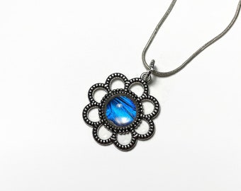 Butterfly necklace, blue pendant, Blue Morpho butterfly, real butterfly wing, iridescent necklace, insect jewelry, Flower pendant, glass