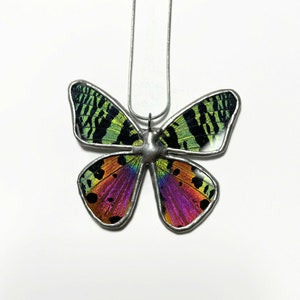 Pendant iridescent rainbow butterfly, glass necklace, sunset moth, real moth wing, insect jewelry, stained glass wing