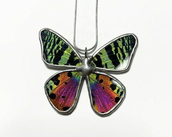 Pendant iridescent rainbow butterfly, glass necklace, sunset moth, real moth wing, insect jewelry, stained glass wing