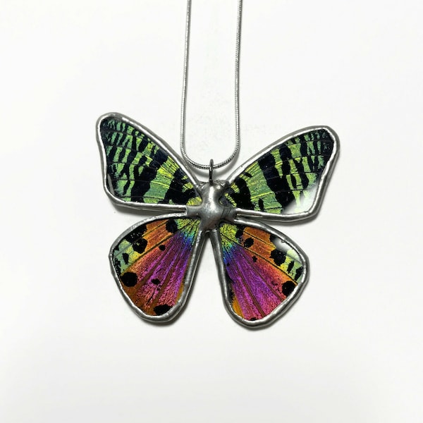 Pendentif papillon arc-en-ciel irisé, collier en verre, papillon de nuit coucher de soleil, véritable aile de papillon de nuit, bijoux d'insectes, aile de vitrail