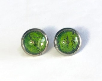 Green stud earrings butterfly jewelry round glass studs unique gifts for mom insect earrings real butterfly wing hypoallergenic