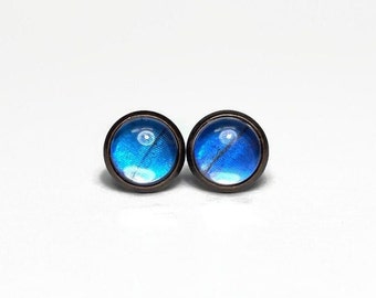 Blue stud earrings, copper, Butterfly jewelry, blue morpho didius, real butterfly earrings, 8mm, 10mm, 12mm, unique gifts, hypoallergenic