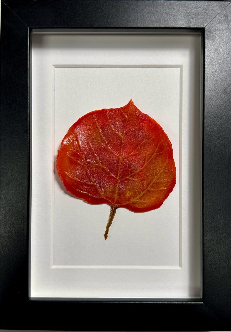 May include: A framed red and orange leaf with a white mat and black frame.