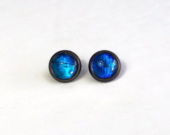 Blue iridescent stud earrings, real rhetenor Morpho butterfly jewelry, best friend gifts, Glass bronze earrings, hypoallergenic