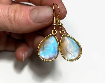 Blue teardrop earrings, stained glass gold earrings, real butterfly wing jewelry, sulkowskyi morpho, unique presents, hypoallergenic