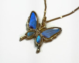 Real Butterfly pendants