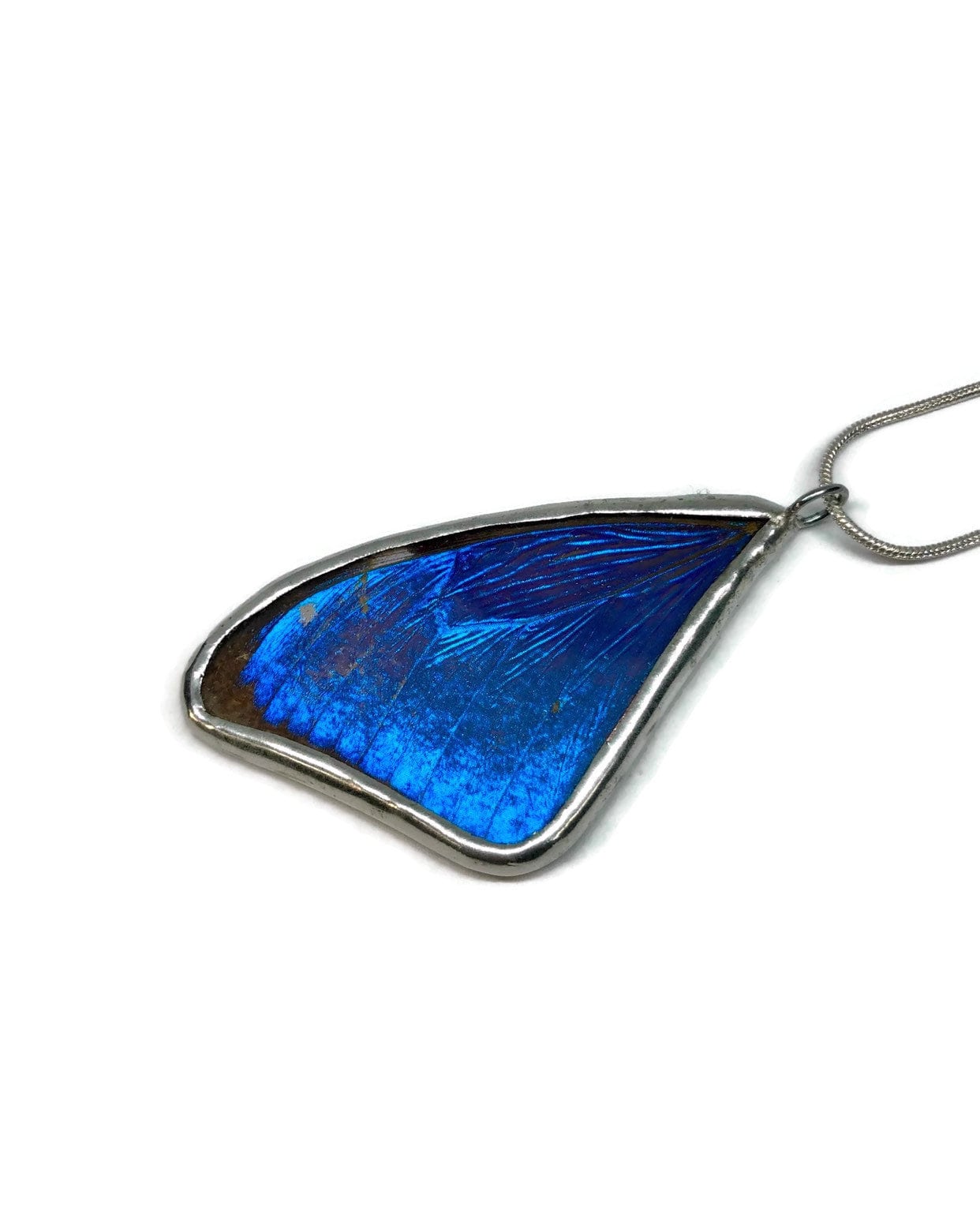 Blue butterfly pendant Blue morpho butterfly butterfly jewelry real