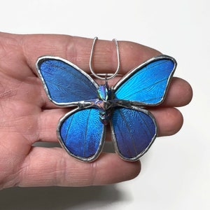 Blue pendant, iridescent, butterfly wing jewelry, Blue Morpho butterfly, real butterfly, glass pendant, necklace included