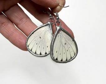 White butterfly dangle earrings real butterfly wing jewelry, gifts for her, Stained glass wing, hypoallergenic