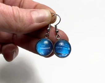 Blue iridescent earrings, real butterfly wing jewelry, Didius morpho, glass dangle statement earrings, unique gifts, hypoallergenic