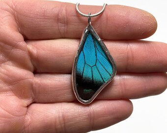 Butterfly Jewelry, Unique jewelry, butterfly Pendant, butterfly necklace, insect jewelry, real butterfly wing, gifts for her