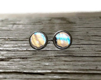 Blue iridescent round earrings, real butterfly wing jewelry, minimalist glass studs, sulkowskyi morpho, insect jewelry, hypoallergenic