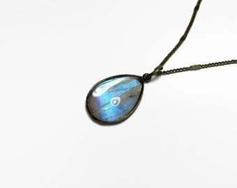 Iridescent blue pendant real butterfly wing jewelry, best friend gifts, sulkowski morpho, glass bronze teardrop pendant, chain included