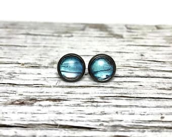 Butterfly earrings, Blue Butterfly Studs, blue morpho, glass earrings, gunmetal studs, real butterfly wing, taxidermy, hypoallergenic