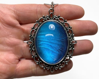 Blue necklace, iridescent, Butterfly jewelry, real butterfly wing, blue morpho butterfly, butterfly taxidermy jewelry, insect necklace
