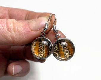 Patterned butterfly wing earrings real butterfly jewelry dangle glass earrings, unique gifts for her