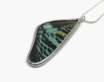 Butterfly green and black wing pendant butterfly jewelry, sunset moth, real moth wing, glass necklace