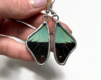 Butterfly wing glass earrings real butterfly jewelry unique gifts for mom green and black stained glass wing