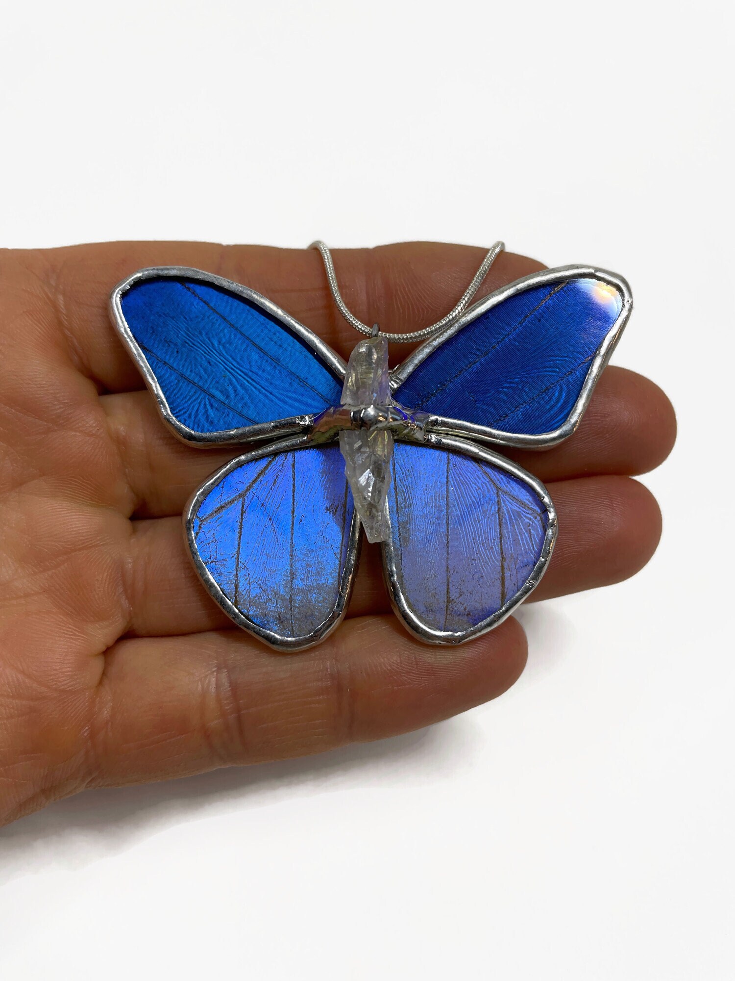 Vintage blue morpho butterfly jewelry store