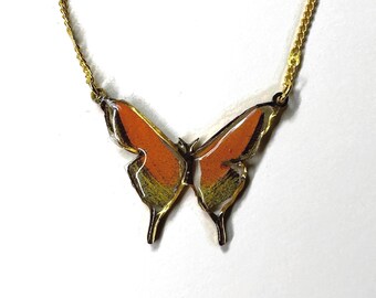 Orange & yellow butterfly pendant, real butterfly wing jewelry, unique gifts for her, resin pendant, dainty necklace
