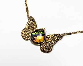 Real butterfly wing pendant, iridescent sunset moth necklace, butterfly jewelry, gifts for her, bronze pendant, necklace included