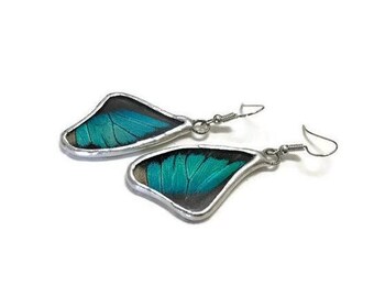 Iridescent butterfly wing earrings, butterfly jewelry, glass earrings, real butterfly wing, stained glass earrings, unique gifts for her