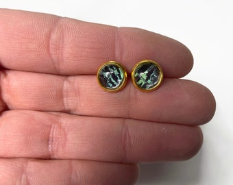 Earrings green black studs, butterfly earrings, insect jewelry, real butterfly wing, gold glass earrings, iridescent earrings