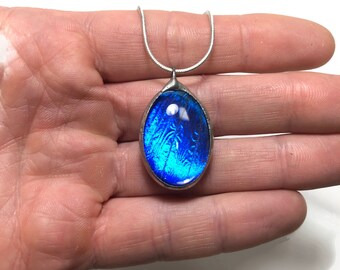 Blue Butterfly necklace, real butterfly wing, butterfly jewelry, Blue Morpho Butterfly, insect pendant, glass pendant, Taxidermy jewelry