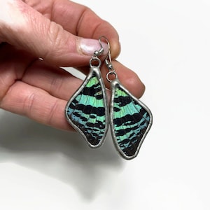 Green and black wing earrings real sunset moth wing jewelry glass dangle earrings unique gifts for mom