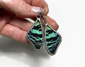 Green and black wing earrings real sunset moth wing jewelry glass dangle earrings unique gifts for mom