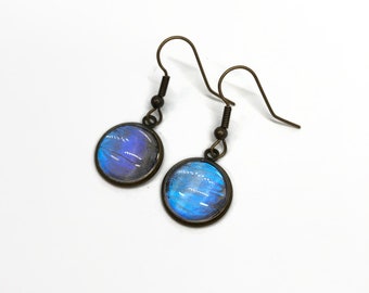 Iridescent blue bronze earrings real butterfly wing jewelry sulkowskyi morpho butterfly best friend gifts hypoallergenic