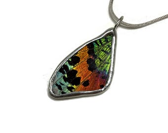 Butterfly Jewelry, Unique jewelry, butterfly Pendant, real butterfly wing necklace, sunset moth, insect jewelry, gifts for her