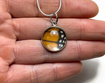 Orange black pendant, real butterfly jewelry, monarch wing, round glass necklace, gifts for her, birthday present, chain included