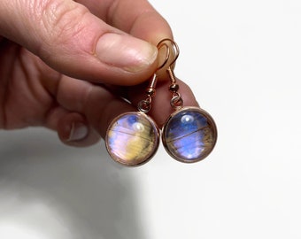 Blue iridescent rose gold earrings, glass earrings, real butterfly wing jewelry, best friend gifts, morpho sulkowskyi, hypoallergenic