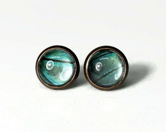 Handmade green teal stud earrings, nature inspired jewelry gifts, Copper glass studs, real butterfly wing, presents for her