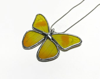 Yellow Butterfly pendant real butterfly wing, glass necklace, recycled pendant, insect necklace, butterfly taxidermy