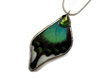 Real Butterfly pendants