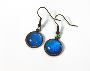 Reflective blue dangle earrings, real butterfly wing jewelry, Didius morpho, glass bronze earrings, unique gifts for mom