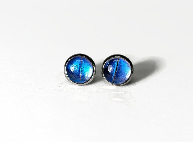 May include: A pair of silver stud earrings with blue butterfly wing designs.