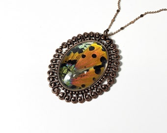 Iridescent oval pendant real butterfly wing jewelry recycled glass rose gold necklace sunset moth insect necklace chain included