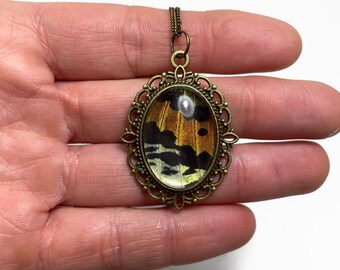 Moth wing pendant, real butterfly wing jewelry, gifts for her, bronze glass necklace, sunset moth