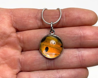 Orange iridescent pendant, round glass pendant, real butterfly wing jewelry, gifts for her, sunset moth, birthday presents, chain included