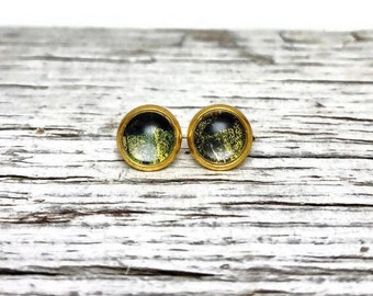 Iridescent green black stud earrings, Genuine sunset moth, gold glass earrings, assorted sizes, unique mom gift, hypoallergenic