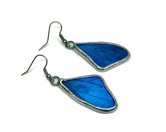 Blue butterfly earrings, Adonis Morpho butterfly, stained glass earrings, real butterfly wing, iridescent earrings, insect jewelry